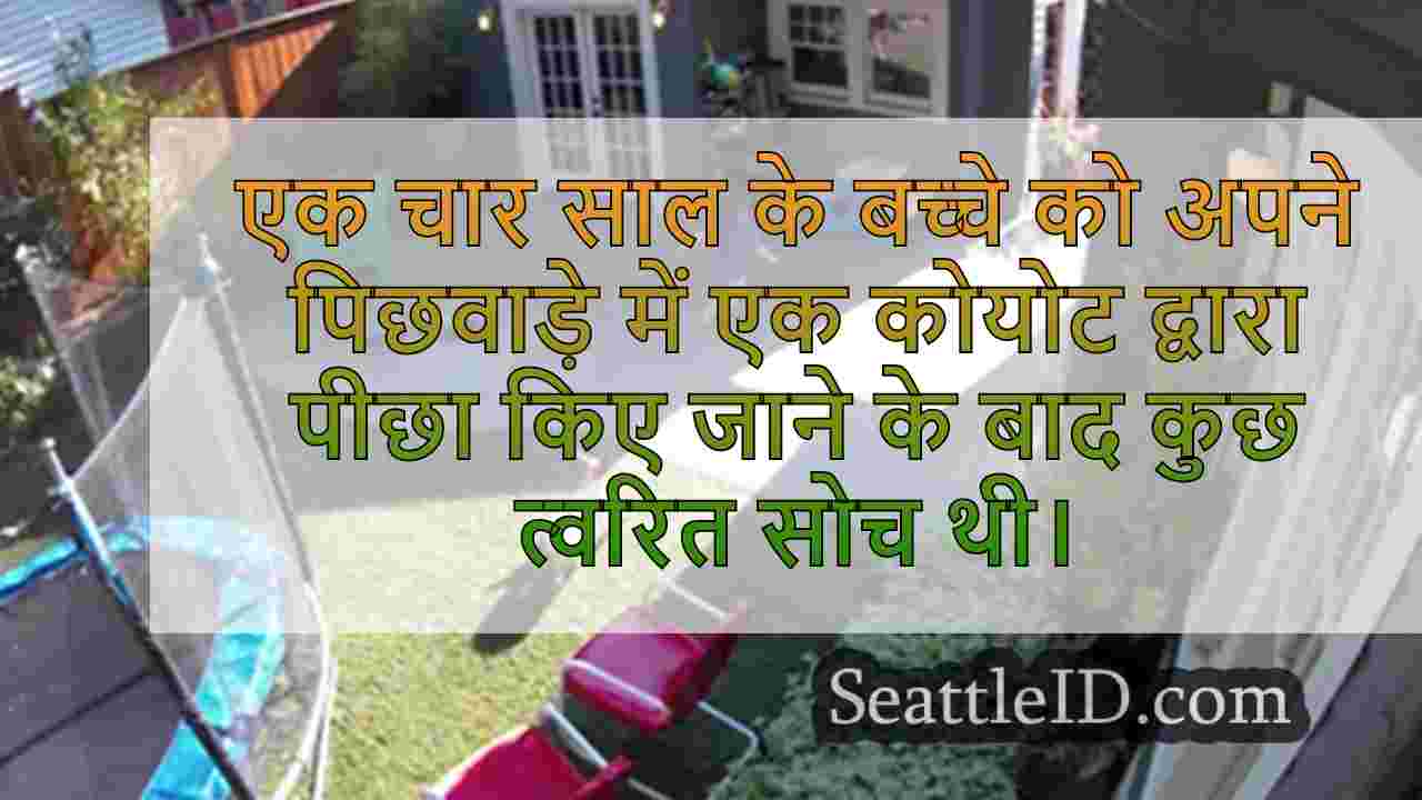 पिताजी, वहाँ एक कोयोट है!लड़की पिछवाड़े