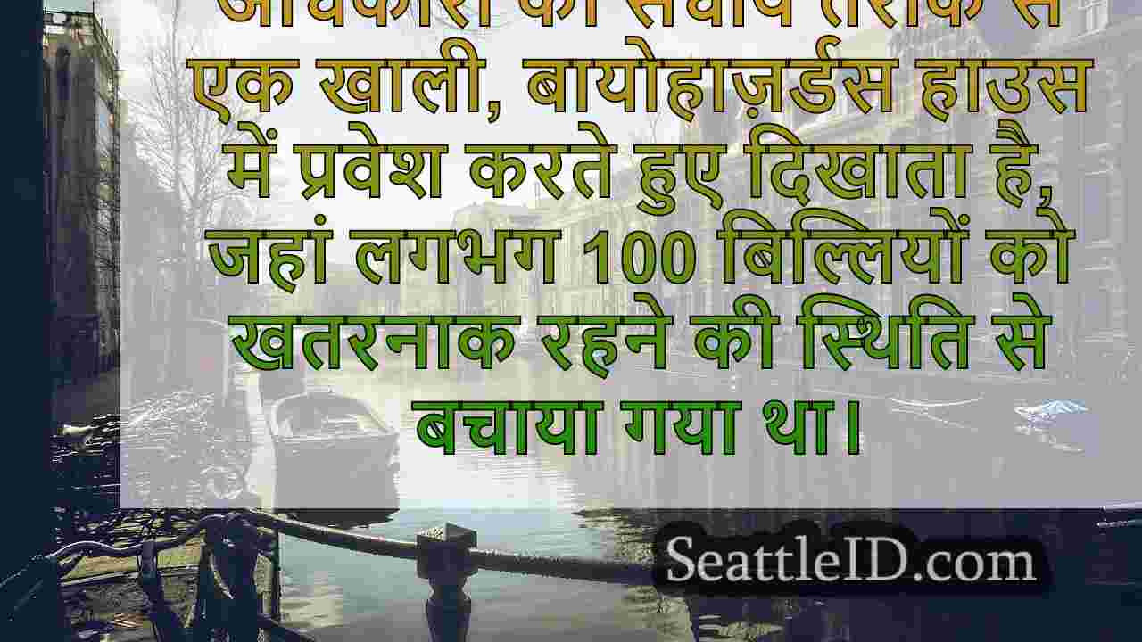 सिएटल समाचार SeattleID