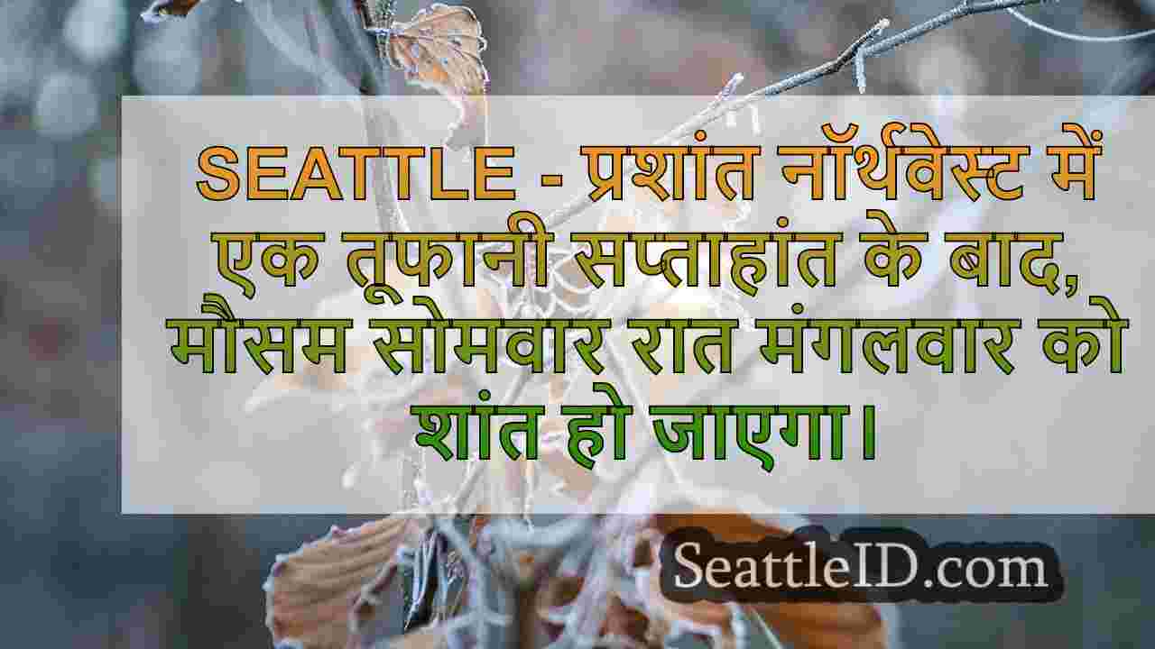 सिएटल समाचार SeattleID