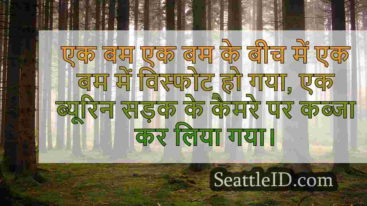 सिएटल समाचार SeattleID