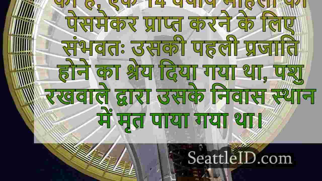 सिएटल के वुडलैंड पार्क चिड़ियाघर में