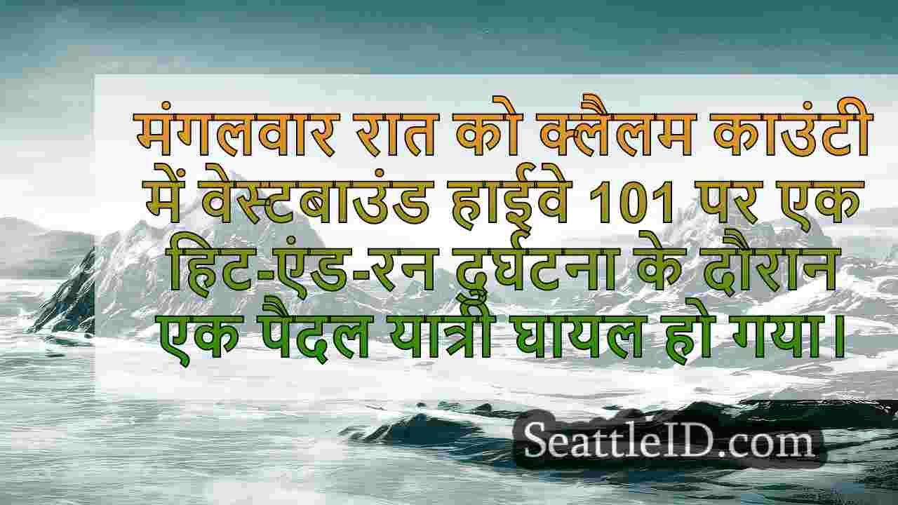 सिएटल समाचार SeattleID