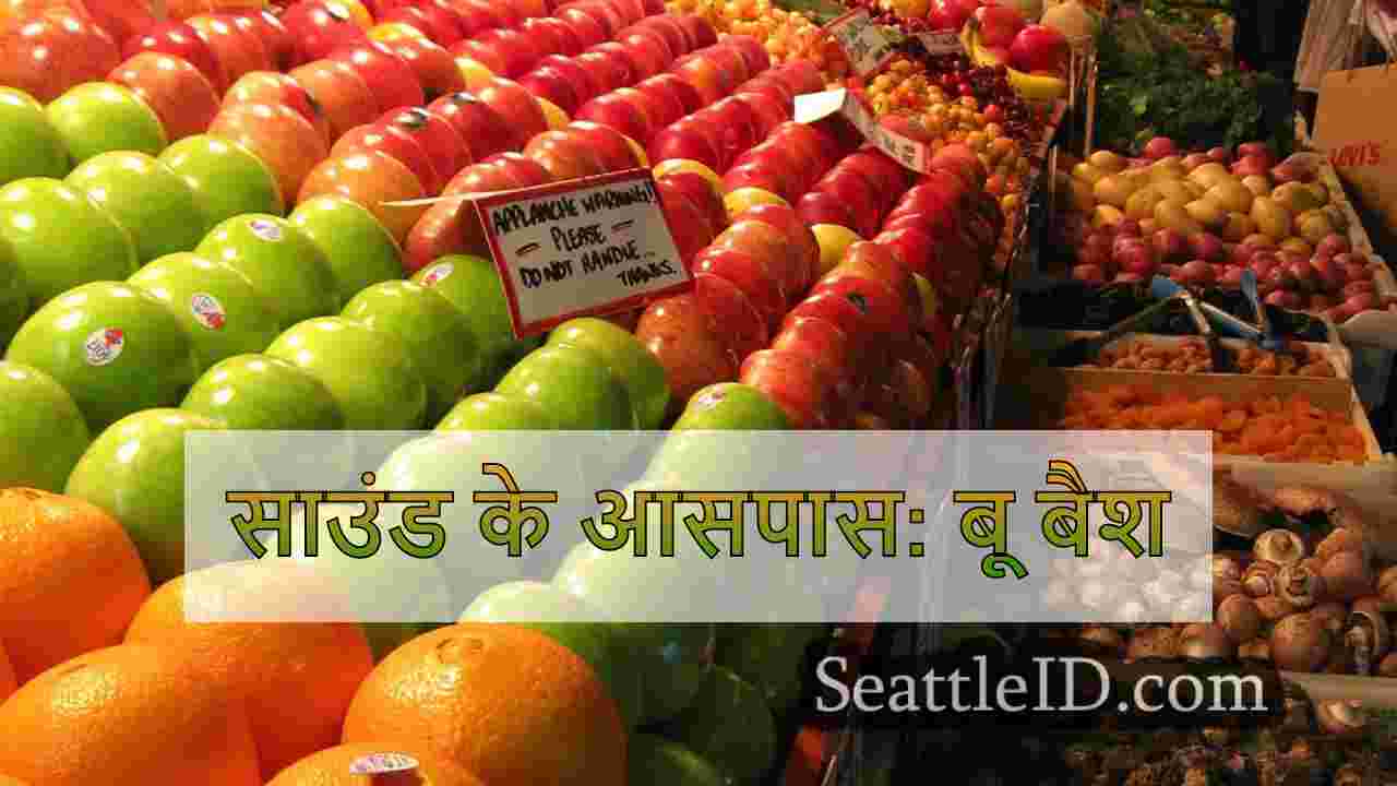 साउंड के आसपास: बू बैश