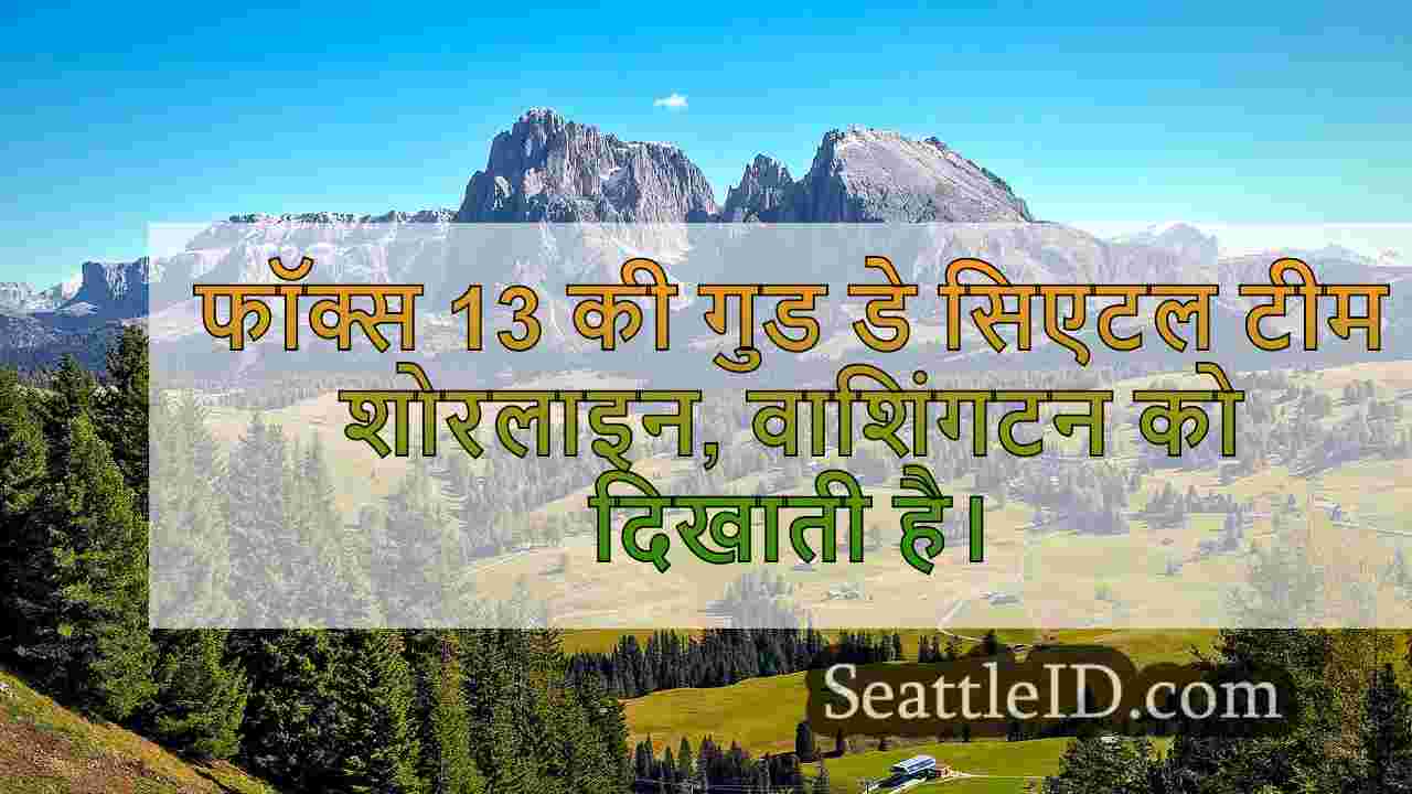 नए अध्ययन में सिएटल रैंक 'शीर्ष 20 सबसे