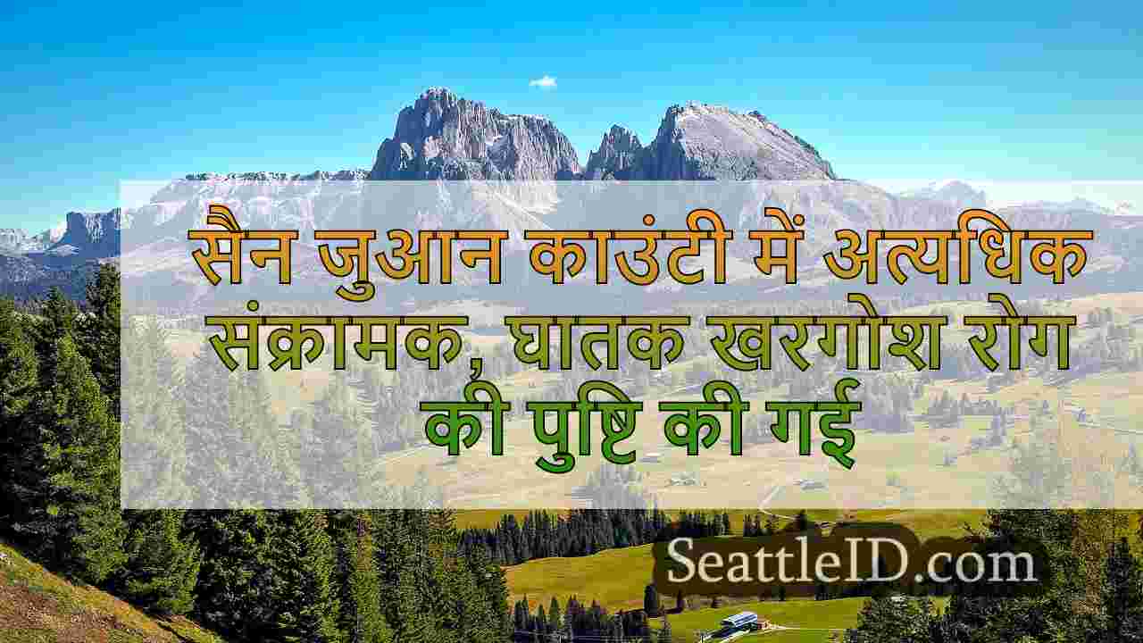 सिएटल समाचार SeattleID