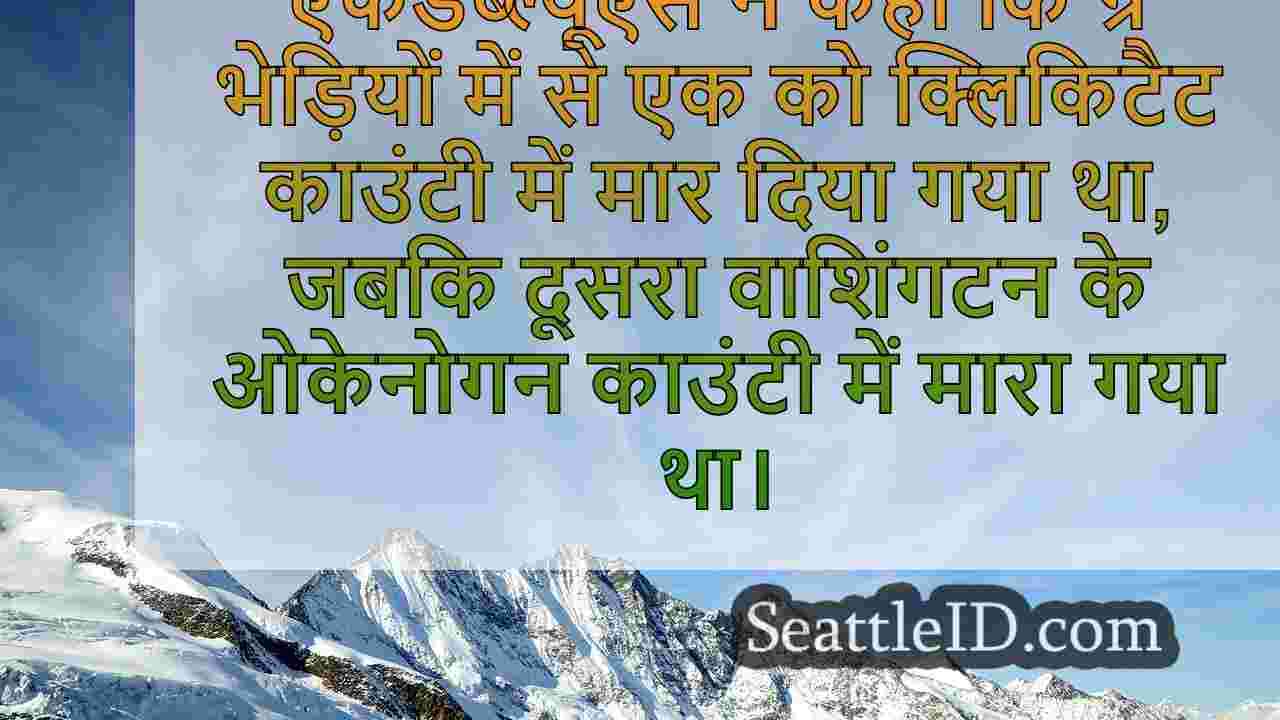 सिएटल समाचार SeattleID