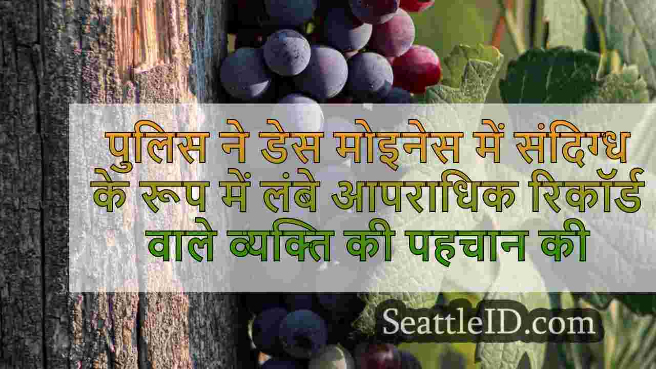 सिएटल समाचार SeattleID