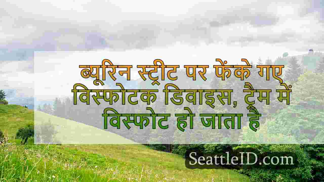 सिएटल समाचार SeattleID