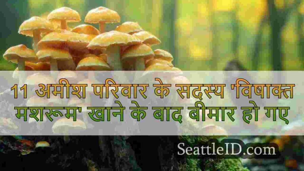11 अमीश परिवार के सदस्य 'विषाक्त मशरूम'
