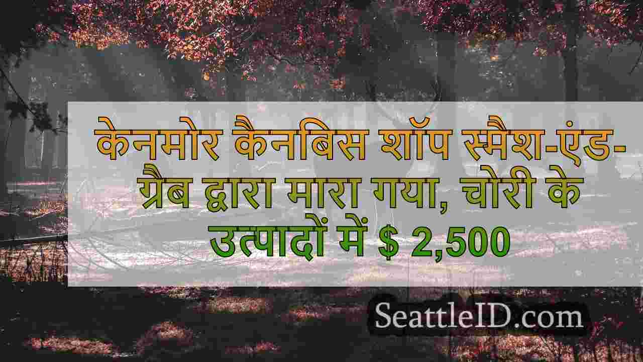 सिएटल समाचार SeattleID