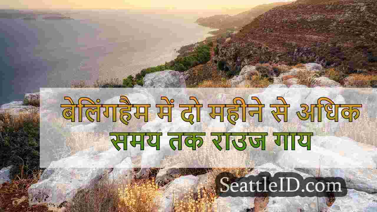 बेलिंगहैम में दो महीने से अधिक समय तक