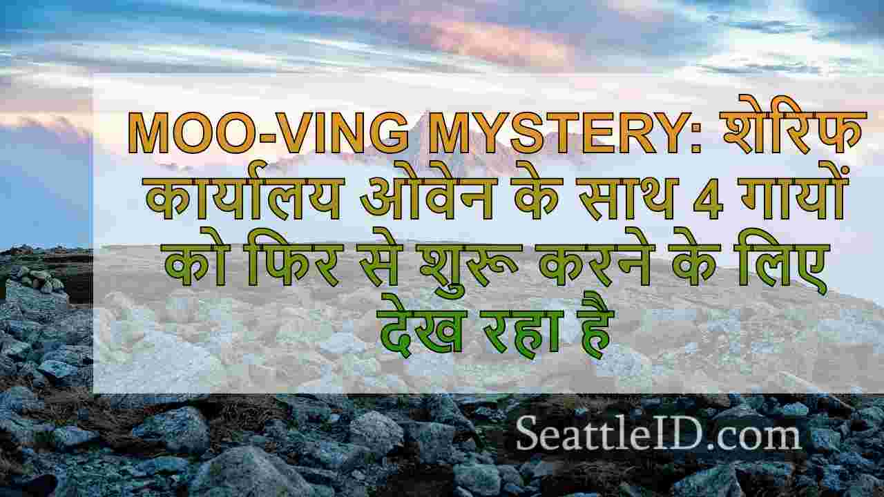 सिएटल समाचार SeattleID