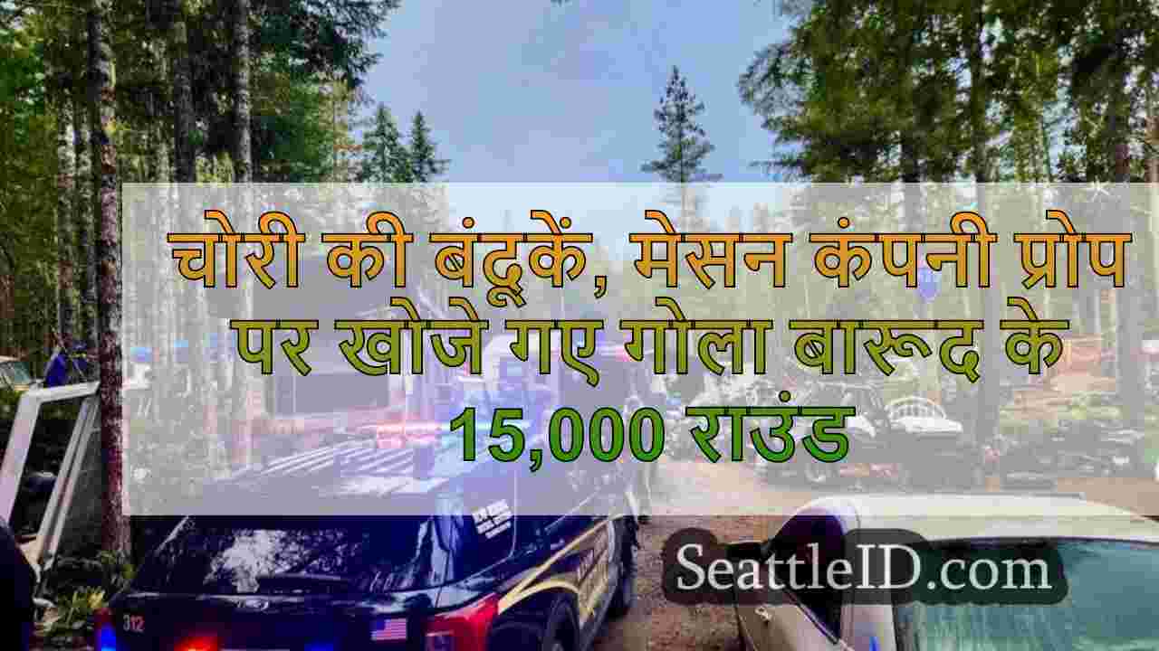 चोरी की बंदूकें, मेसन कंपनी की संपत्ति