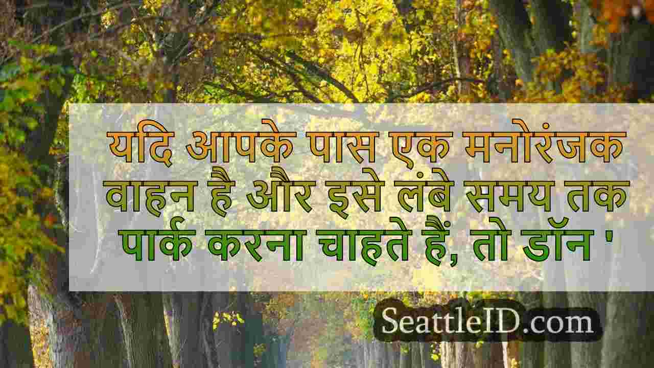 सिएटल समाचार SeattleID