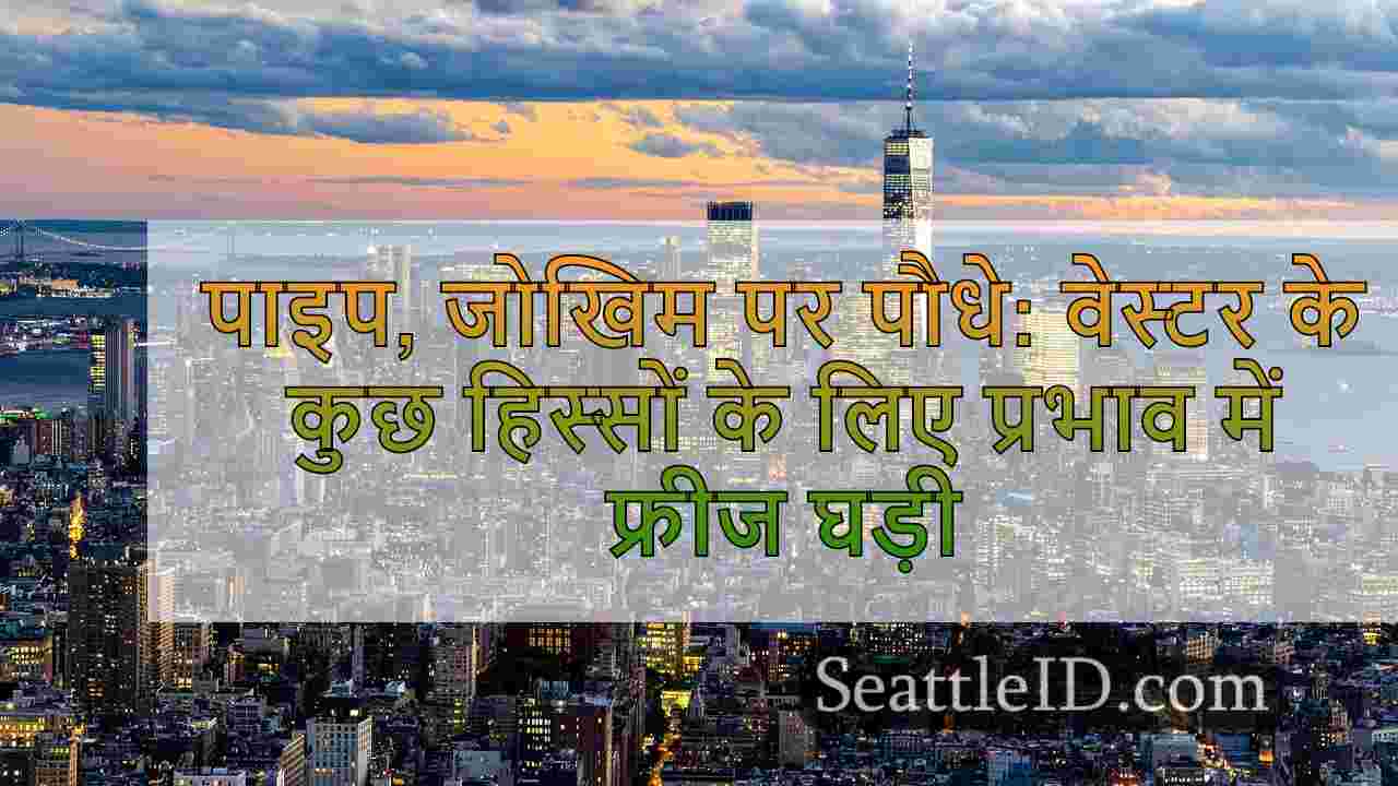 सिएटल समाचार SeattleID