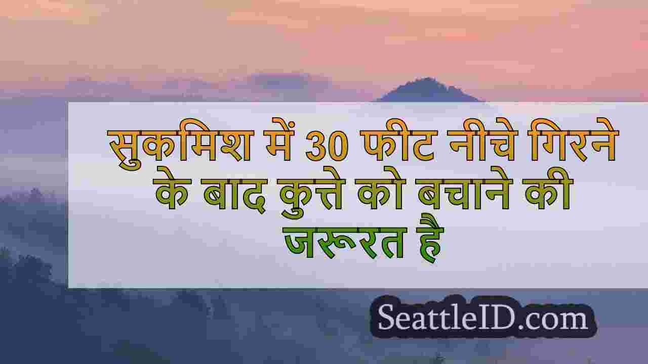 सिएटल समाचार SeattleID