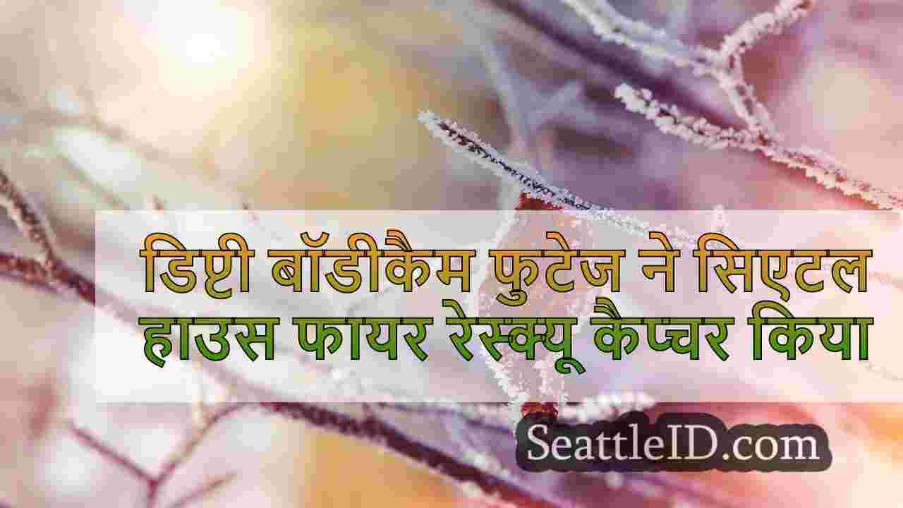 सिएटल समाचार SeattleID