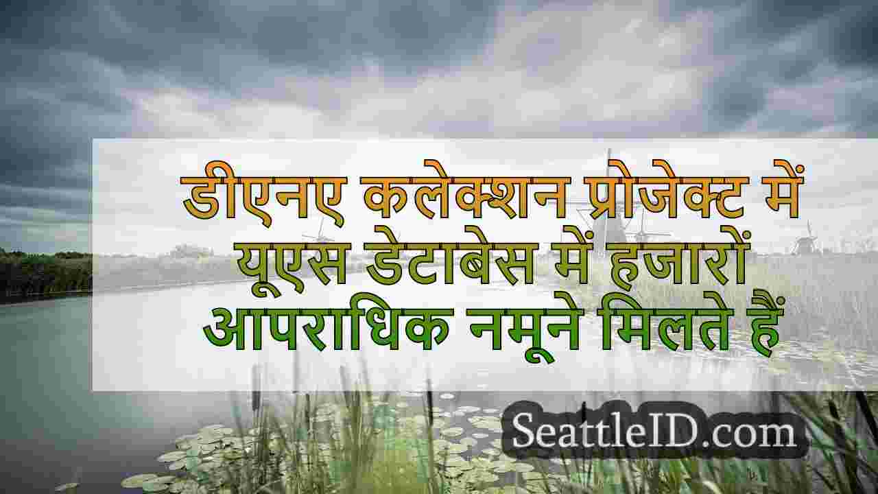 सिएटल समाचार SeattleID