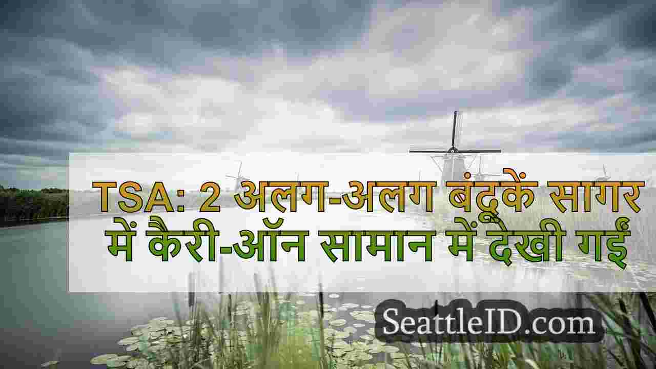 सिएटल समाचार SeattleID