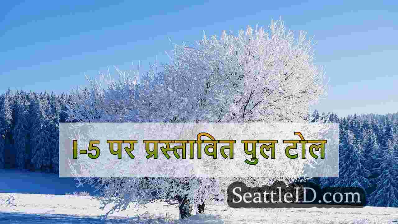 सिएटल समाचार SeattleID