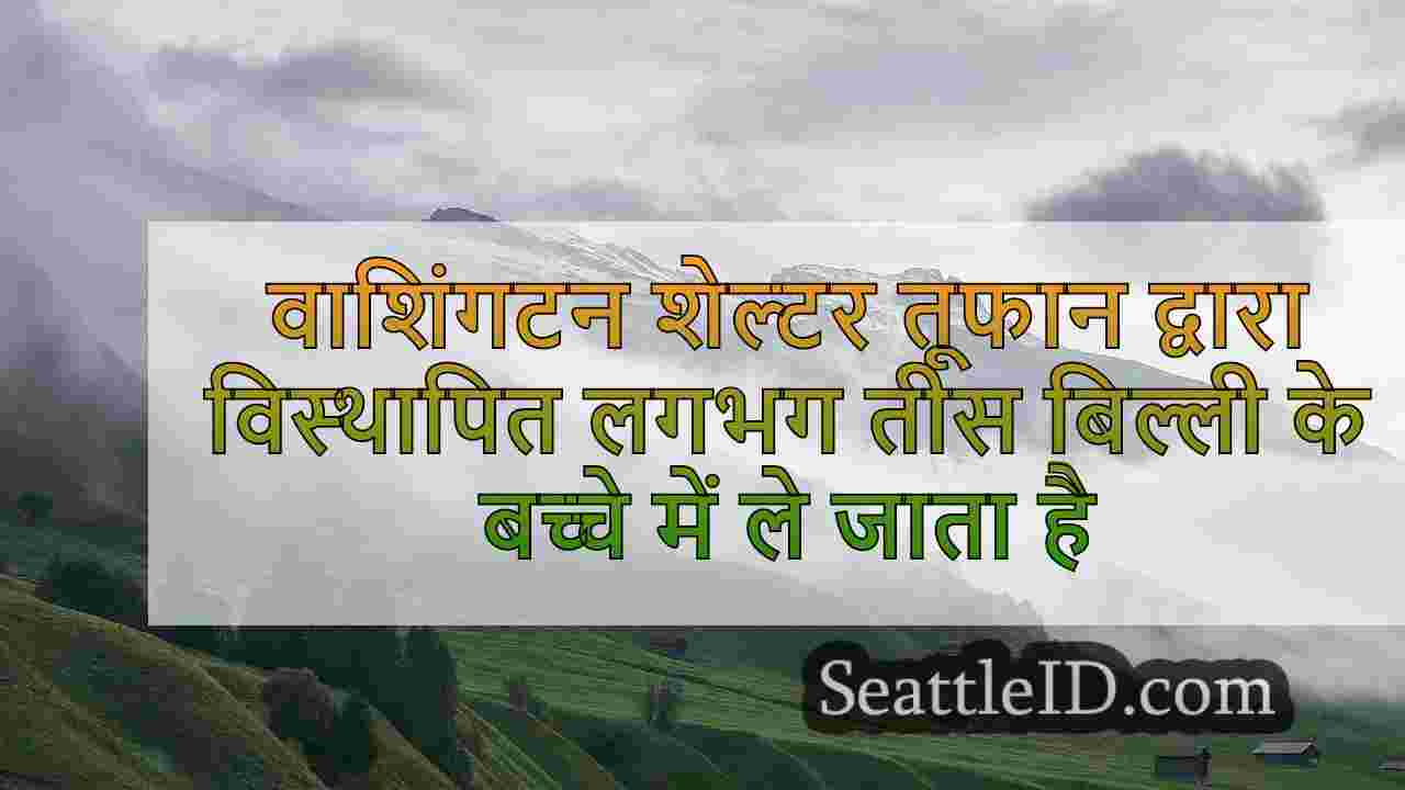 सिएटल समाचार SeattleID