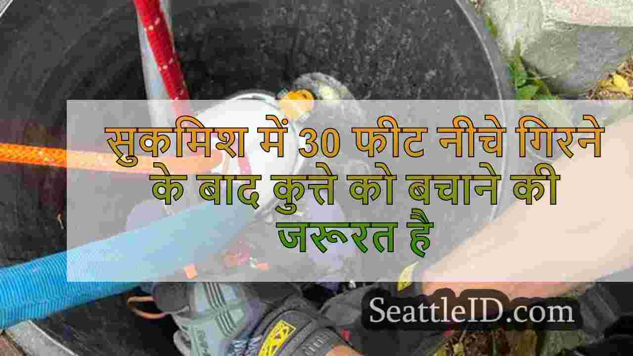 सुकमिश में 30 फीट नीचे गिरने के बाद