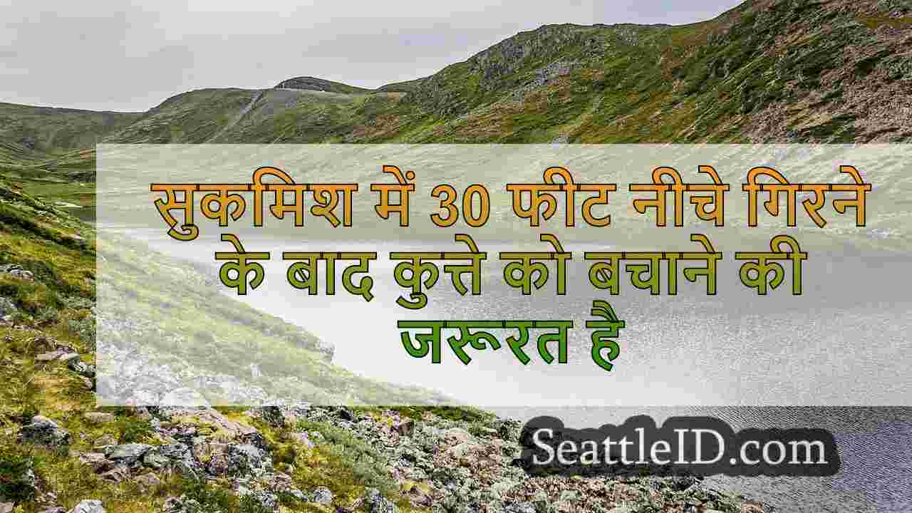सिएटल समाचार SeattleID