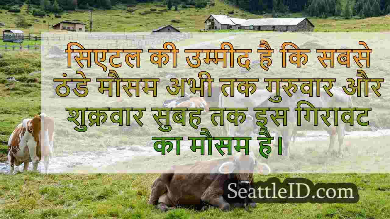 सिएटल समाचार SeattleID