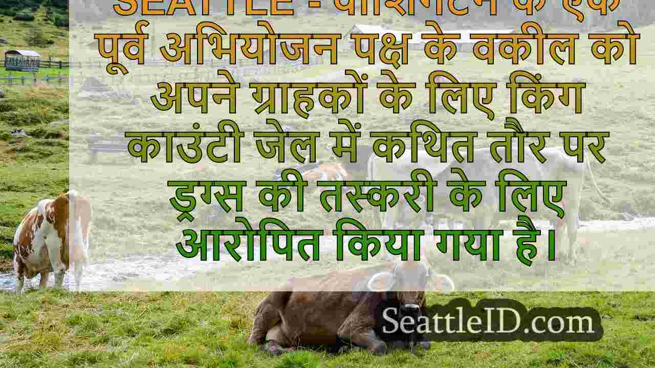 सिएटल समाचार SeattleID
