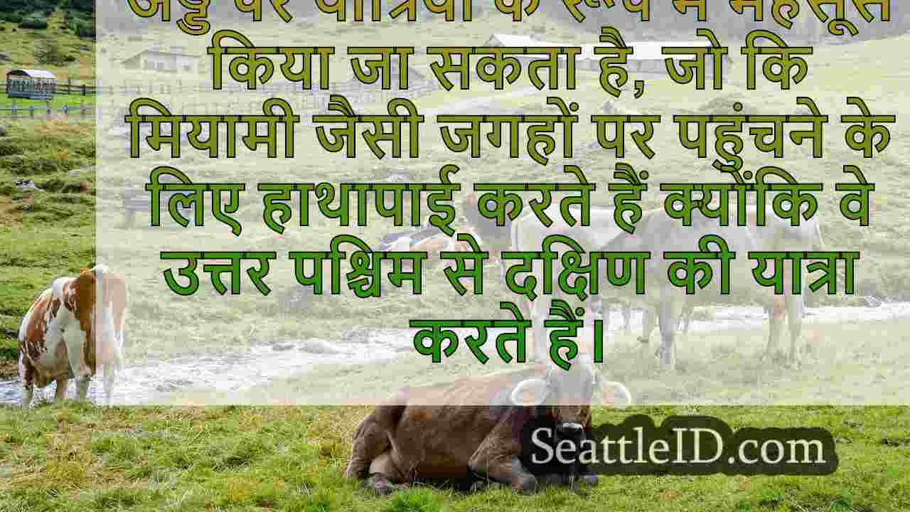 तूफान मिल्टन से पहले मियामी के लिए
