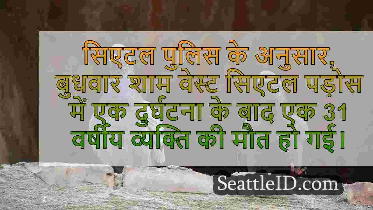 सिएटल समाचार SeattleID