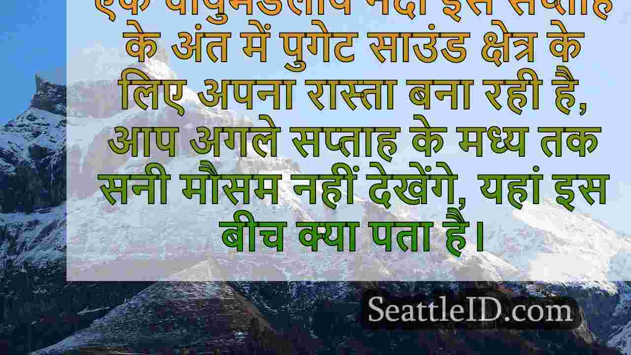 सिएटल समाचार SeattleID