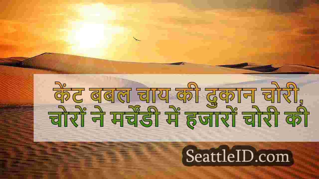 सिएटल समाचार SeattleID