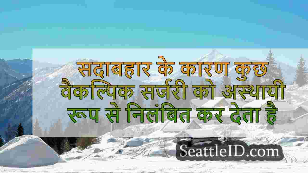 सदाबहार रूप से तूफान की आपूर्ति की कमी