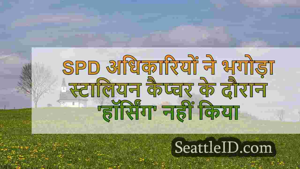 सिएटल समाचार SeattleID