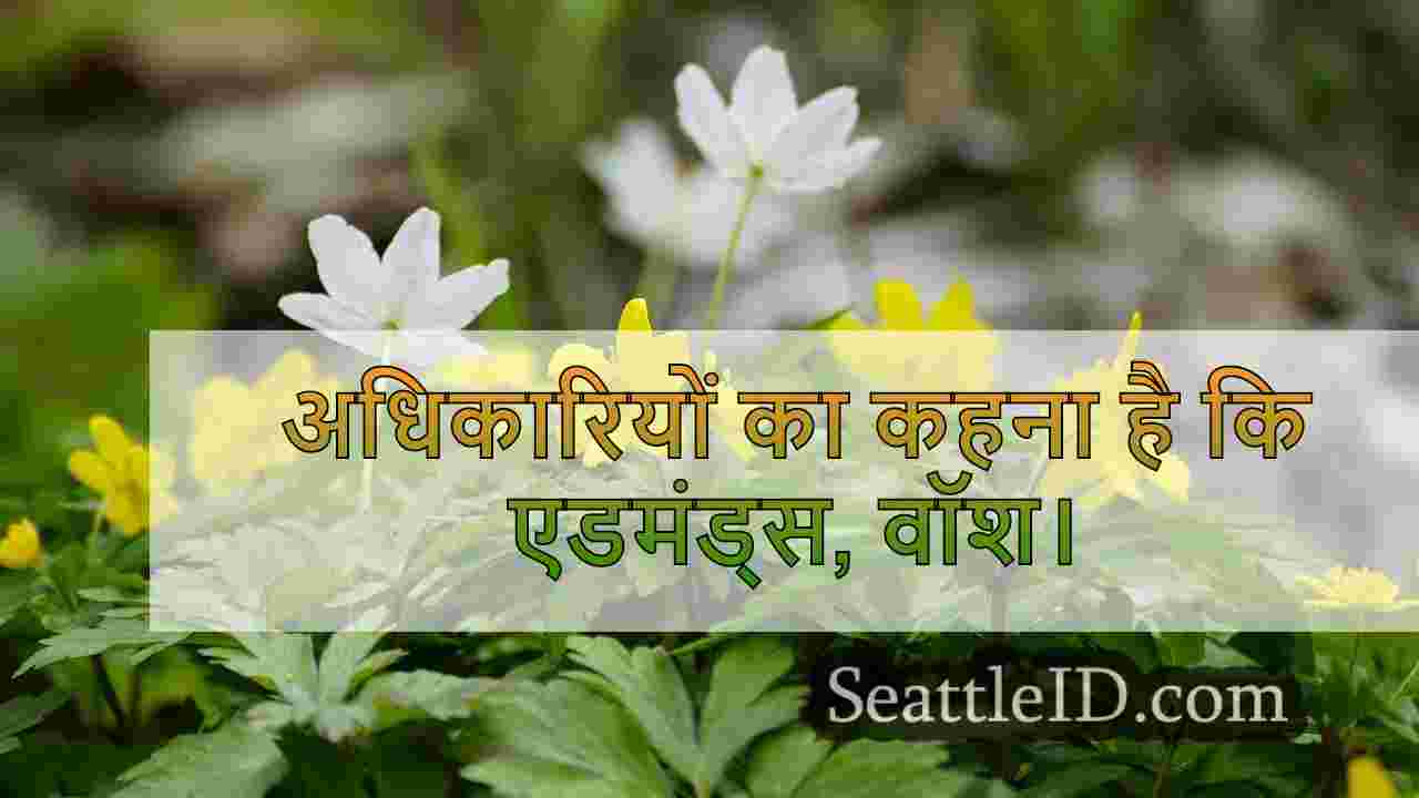 सिएटल समाचार SeattleID