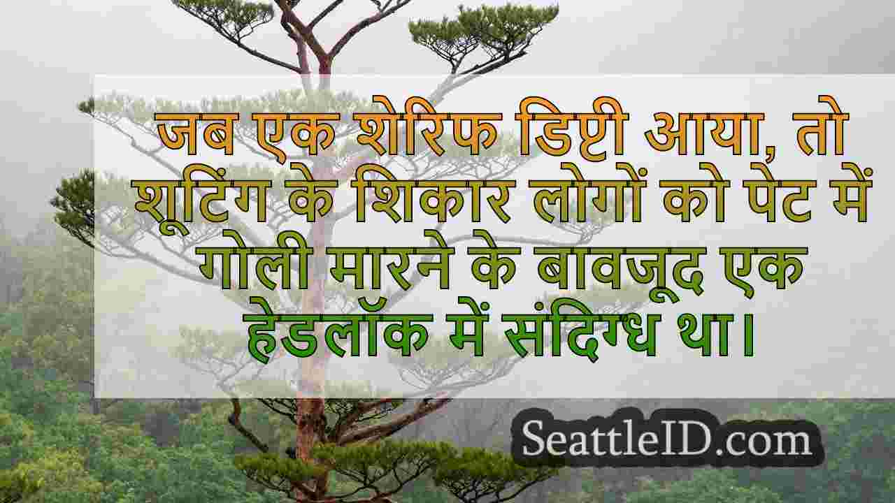 सिएटल समाचार SeattleID