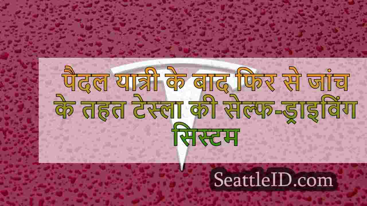 पैदल यात्री की हत्या के बाद फिर से जांच
