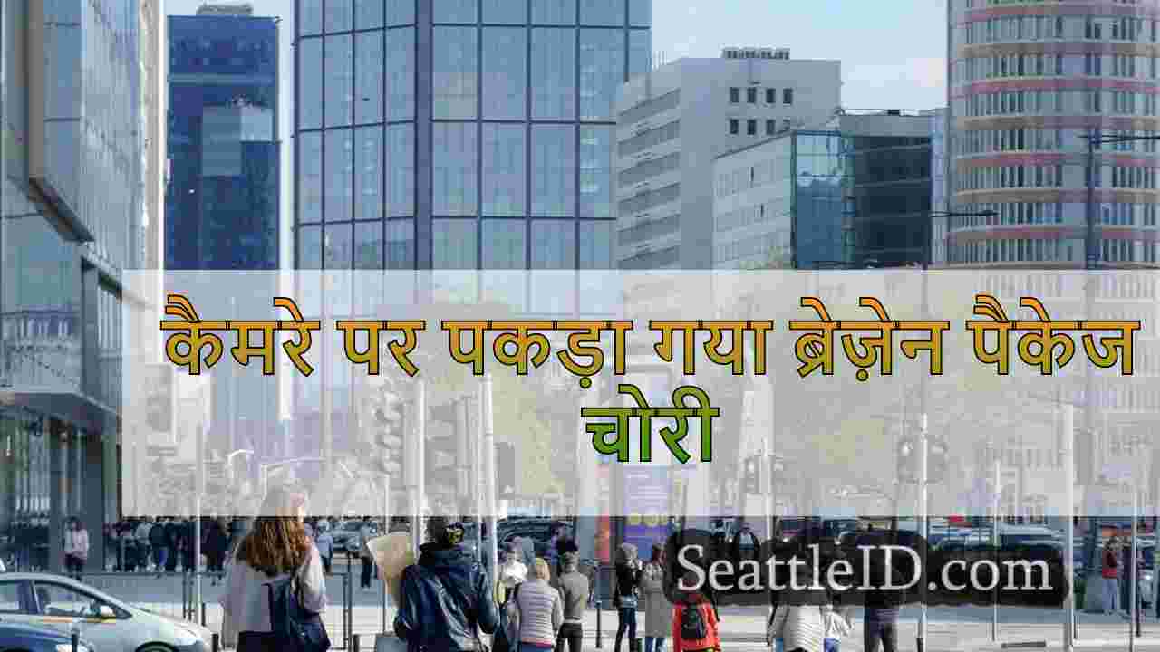 सिएटल समाचार SeattleID