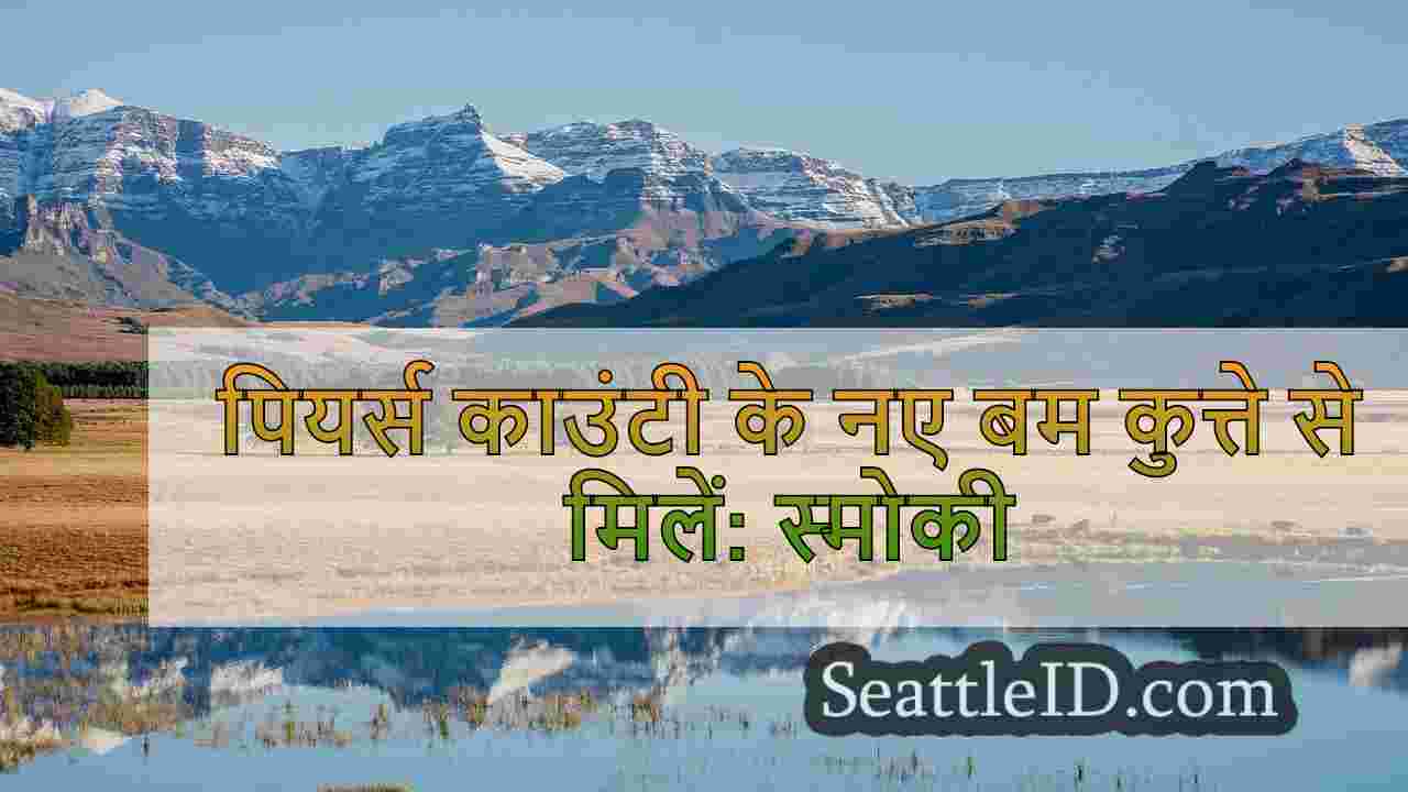सिएटल समाचार SeattleID