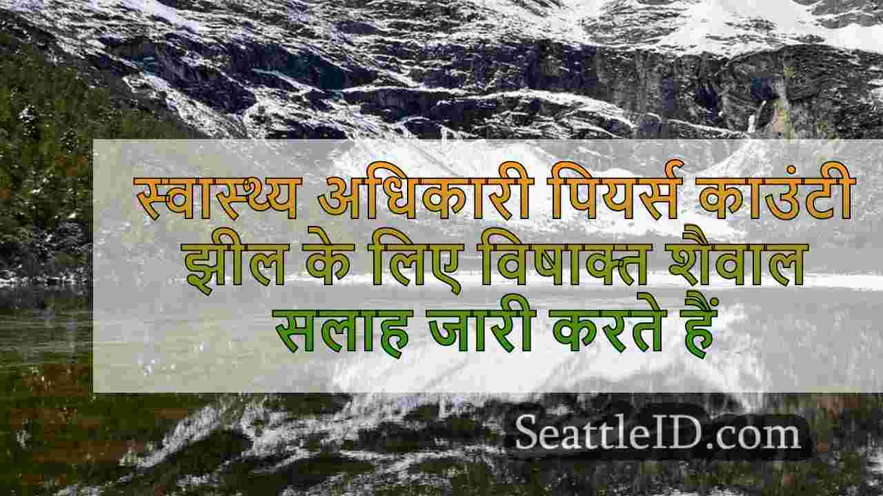 सिएटल समाचार SeattleID