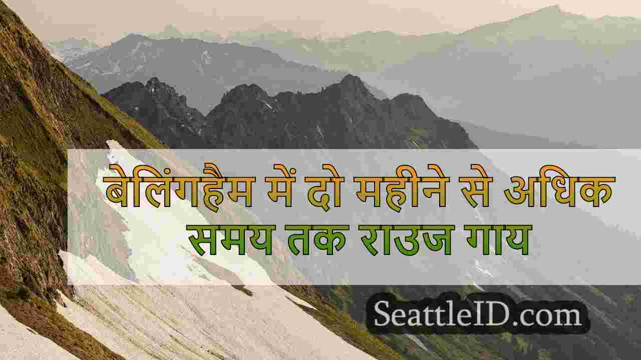सिएटल समाचार SeattleID