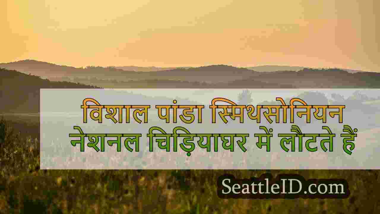 सिएटल समाचार SeattleID