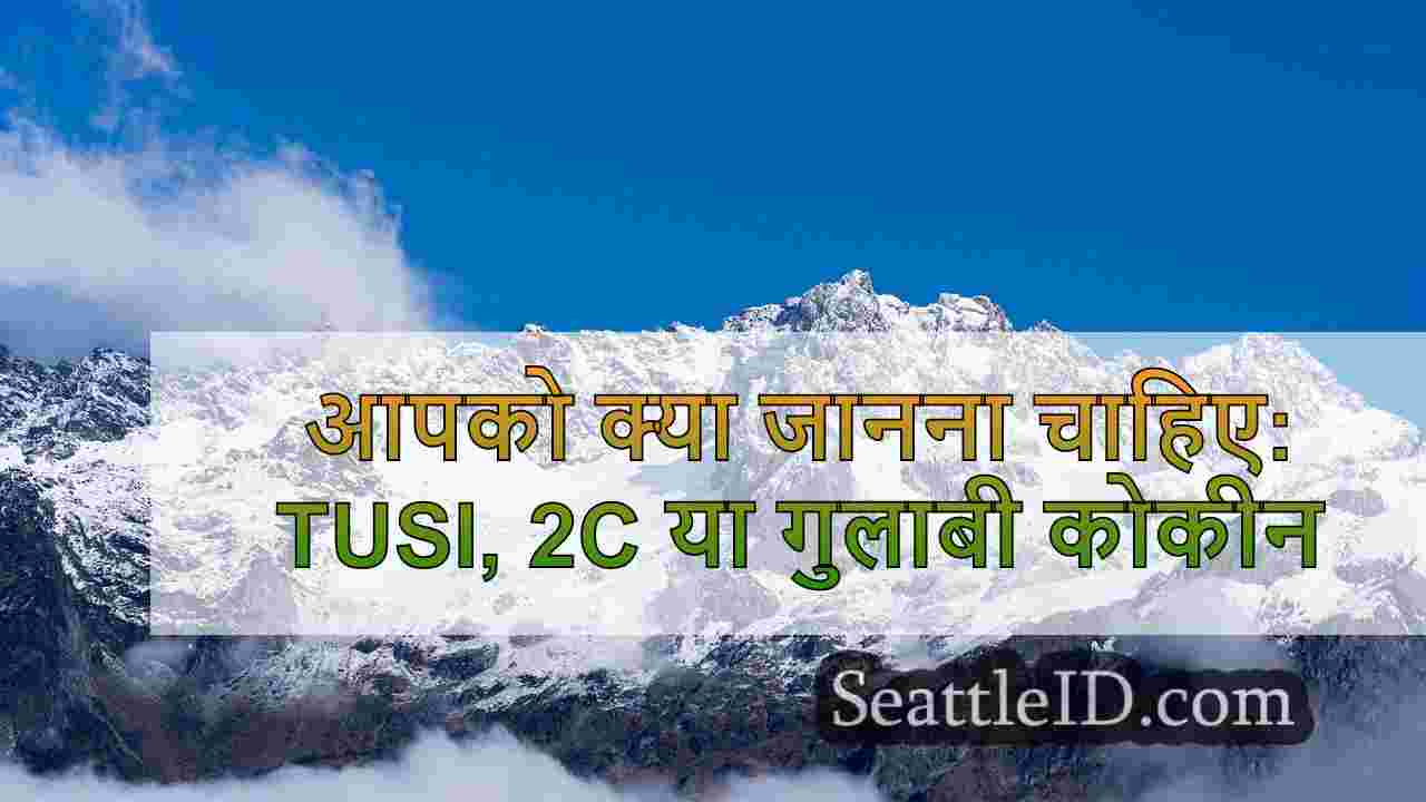 सिएटल समाचार SeattleID