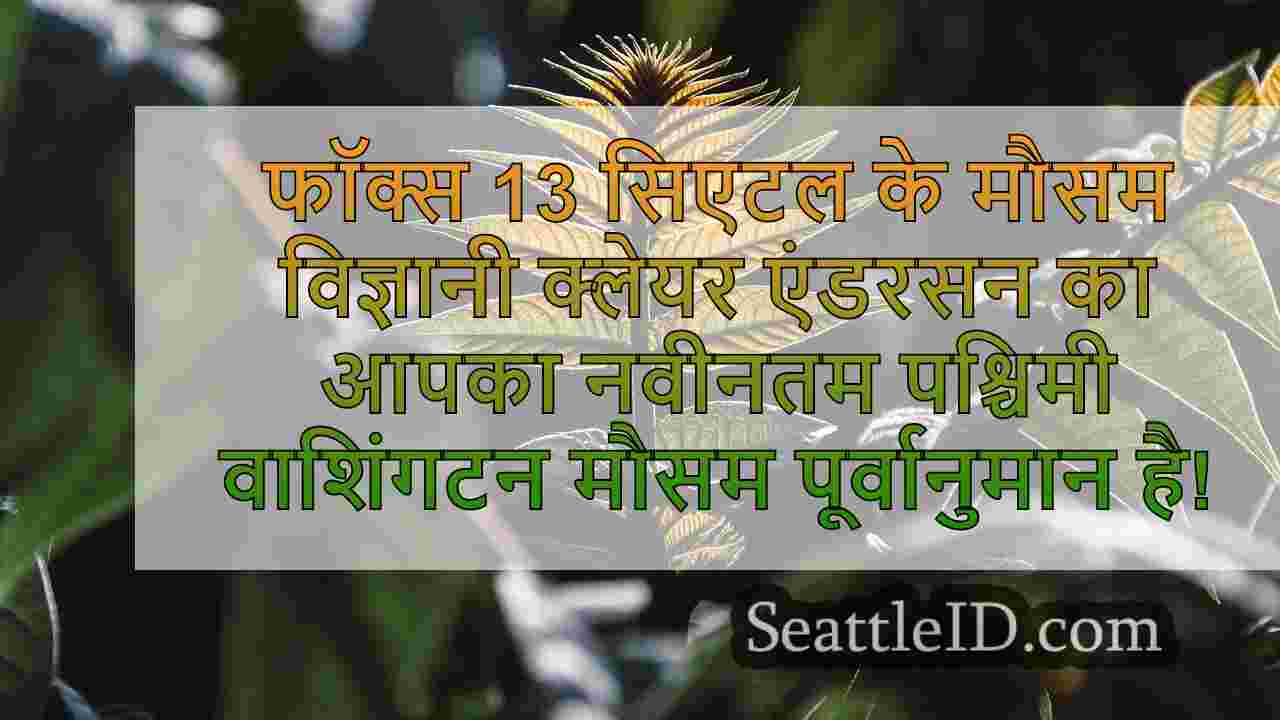 सिएटल समाचार SeattleID