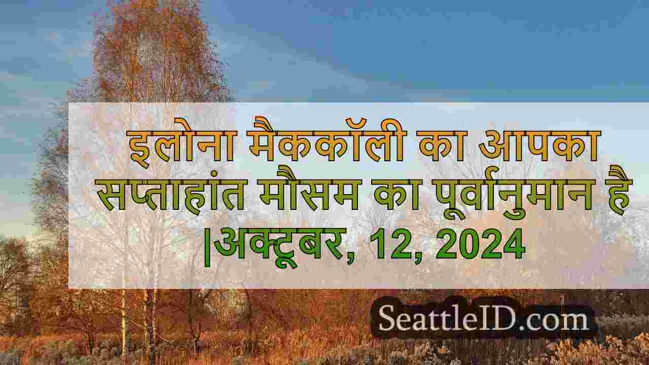 सिएटल समाचार SeattleID