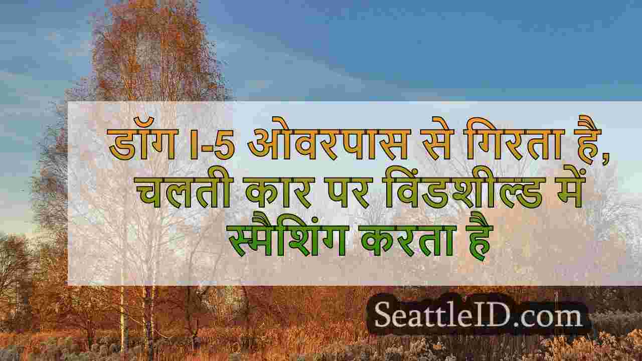 सिएटल समाचार SeattleID