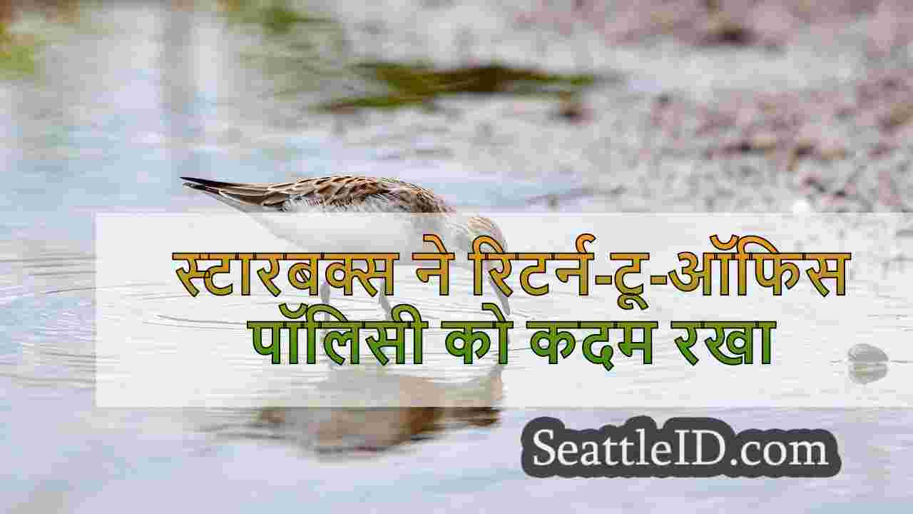 सिएटल समाचार SeattleID