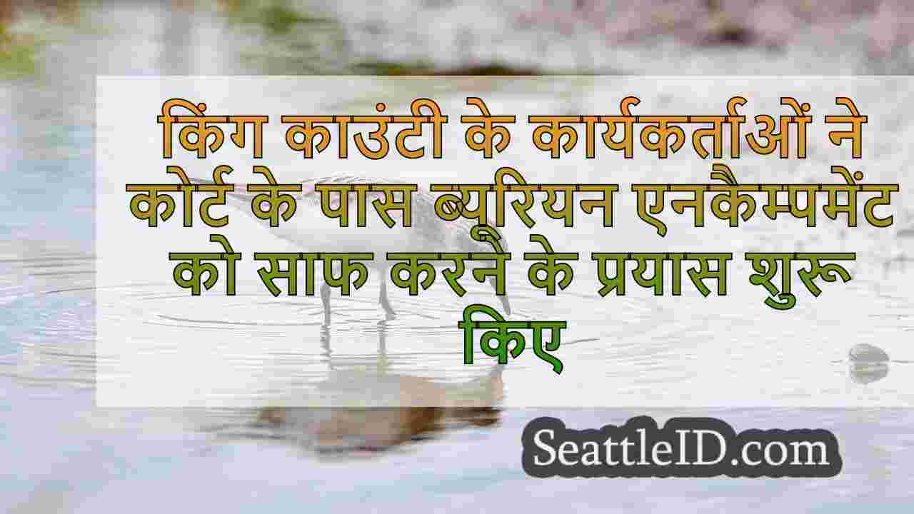 सिएटल समाचार SeattleID