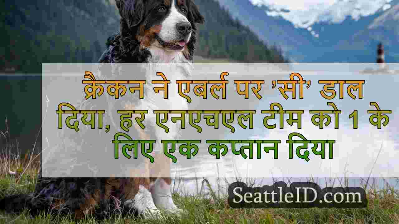 सिएटल समाचार SeattleID